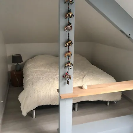Chez Blandine - Jolie Et Mezzanine Climatisees Proche Utt Infrastructures Sportives Guest house