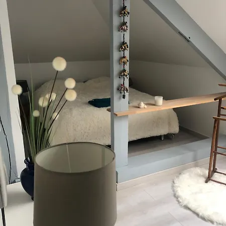 Chez Blandine - Jolie Et Mezzanine Climatisees Proche Utt Infrastructures Sportives Penzion 3*