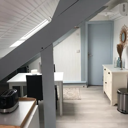 Penzion Chez Blandine - Jolie Et Mezzanine Climatisees Proche Utt Infrastructures Sportives