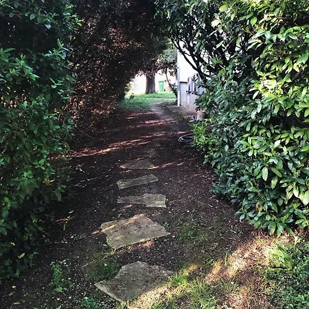 Guest house Chez Blandine - Jolie Et Mezzanine Climatisees Proche Utt Infrastructures Sportives