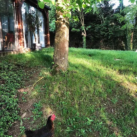 Chez Blandine - Jolie Et Mezzanine Climatisees Proche Utt Infrastructures Sportives بيت ضيافة 3*