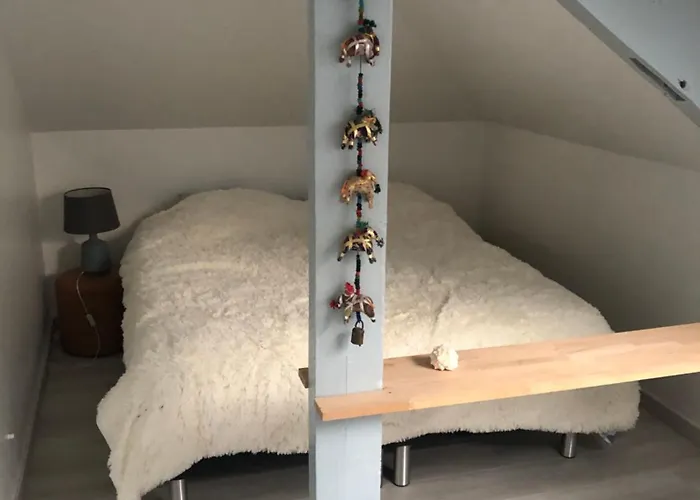 Chez Blandine - Jolie Et Mezzanine Climatisees Proche Utt Infrastructures Sportives Gæstehus