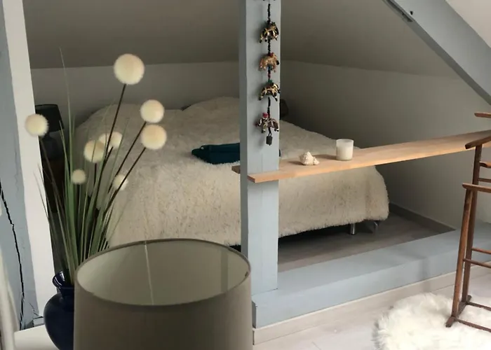 Chez Blandine - Jolie Et Mezzanine Climatisees Proche Utt Infrastructures Sportives Gæstehus 3*