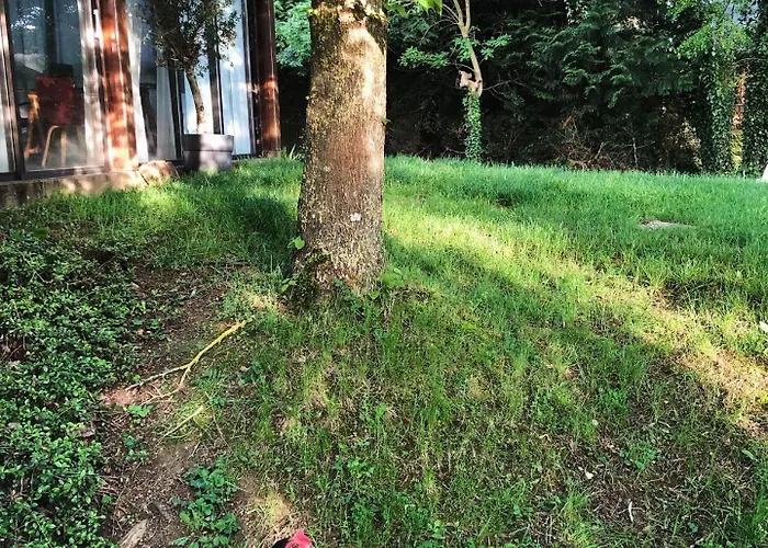 Chez Blandine - Jolie Et Mezzanine Climatisees Proche Utt Infrastructures Sportives Gæstehus 3*